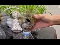 Great creativity with aquatic plant pots, how to create positive energy for the house