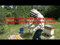 Feeding the bees. First week inspection to see how they are