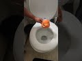 Skibidi toilet in real life