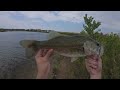 Ultralight is the Most Fun You can Have Fishing | Summer Bass Fishing