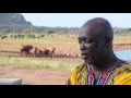 Kenyan farmer delivers water for drought-hit elephants