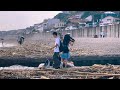 4k hdr japan travel 2024 | Walk in Kamakura（鎌倉）Kanagawa japan |  Relaxing Natural City ambience