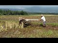 Traktor Sawah SeVa meLanjutkan Singkal Lahan Samping PART 1