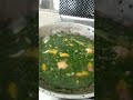 cooking fish with soup and moringga