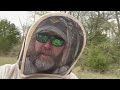Unwrapping 12 Neglected Beehives - First inspection since? - How are the Honey Bees?