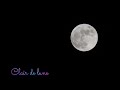 ペットと聴く癒しのクラシック【月の光】Clair de lune / Debussy　虫の音とソルフェジオ周波数