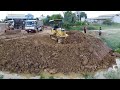 New Project Filling Up Deep Rice Field!! Two Bulldozer Pushing Soil into Water with 5ton Dump Truck.