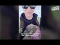 Woman Rescues Puppy At Walmart | The Dodo