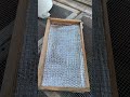 Insulated feeder frames for winter feeding.