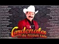 LAS 10 MEJORES CANCIONES DE CARDENALES DE NUEVO LEÓN 2024 - NORTEÑAS VIEJITAS CLASICAS