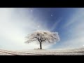 Relaxing Music For Stress Relief, Anxiety, Calming the Mind - Lone Tree in a Snow Storm.