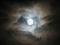 Moonlight for string orchestra (2005/rev.2024) [Original Composition]