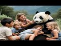 Panda's Heartly ❤️  Friendship with Children's | Animals Story | English Stories