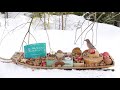 The Traveling Bird Feeder 3 -  Relax with squirrels & Birds (2-Hour special)