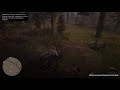 Red Dead Online : Bears are D***s