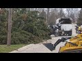 Tree Falling Down at Woodward