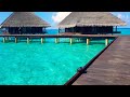 Maldives | hut holiday | ocean travel  #travel