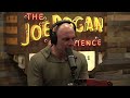 Joe Rogan on How Weed Affects Disciplined People