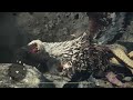 Dragon's Dogma 2 -  Double Arc of Might