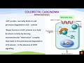 Pathogenesis of colorectal carcinoma - Dr.V.Shanthi