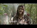 Man Eating Tigers of Sundarbans - Full Film