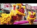Lunar New Year for Kids | Educational Video