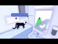 O FINAL DO JOGO DE GATO (Little Kitty Big City)