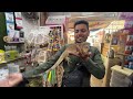 Exotic Pet Shop in Mumbai | African Grey | Iguana | Amazon Parrot & More | Wajid Exotic Pets Shop