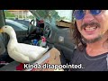 I took my duck to the World’s Largest McDonalds 🍟🦆
