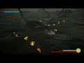 Strange glitch during Hydrus boss: Shadow of the Colossus