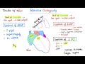 Restrictive Cardiomyopathy - Causes, Symptoms, Diagnosis & Treatment - Cardiology Series