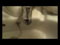 The Musical Faucet / Muscial Tap