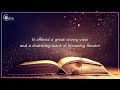 Learn English Through Story, While You Sleep - Dream In English