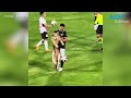 Playful pooch steals ball and hearts during professional soccer match