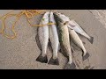 Fishing with LURES for Speckled Trout & Flounder!
