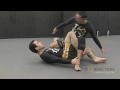 Marcelo Garcia. Shin-in Sweep from Half Guard, Guillotine from Butterfly