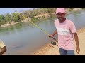 Rad casting and catch big Size Wallago attu catfish hunting in forest river