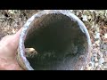 Installing a Sewer Two Way Clean Out | Glendale Plumbing Company | Plumber Glendale CA