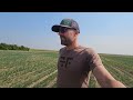 South Farm Crop Tour #2