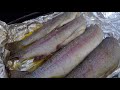 Rainbow Trout Catch & Cook! Grilled Goodness!