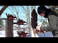 How To Chainsaw Carve A Feather!