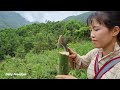 Full Video10 Days: Single mother and Boy -Build a bamboo house farm, New life challenge with my baby