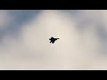 THE RAPTOR: DCS Airshow Vibes