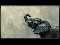 Monochrome Portrait of an Elephant | TV Art with Music | Framed Painting | TV Wallpaper