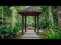 Super Creative Tropical Garden design for Every Spaces | Tropical Gardening