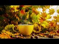 Positive Fall Jazz Music ☕ Sweet Bossa Nova & Jazz Music for Happy First Days of October to Relax