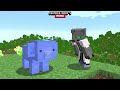 Minecraft Mania - Pollo LANZA HUEVOS, Discord Wumpus