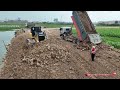 Amazing SHANTUI DH17c2 Bulldozer push gound hard & Hyundai 25t Dump Truck building road across water