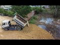 New Update Processing,KOMATSU D31P Dozer Push soil and Clearing Forest with 5ton dump truck landfill