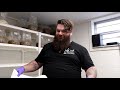 Liquid Mushroom Culture from Gourmet Oyster Mushrooms, New Episode in How to grow Mushrooms Series